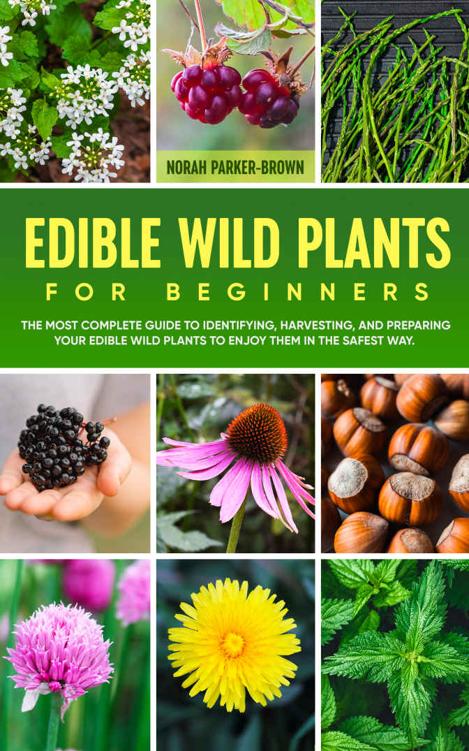 Edible Wild Plants for Beginners: The Most Complete Guide to Identifying, Harvesting, and Preparing Your Edible Wild Plants to Enjoy Them in the Safest Way.