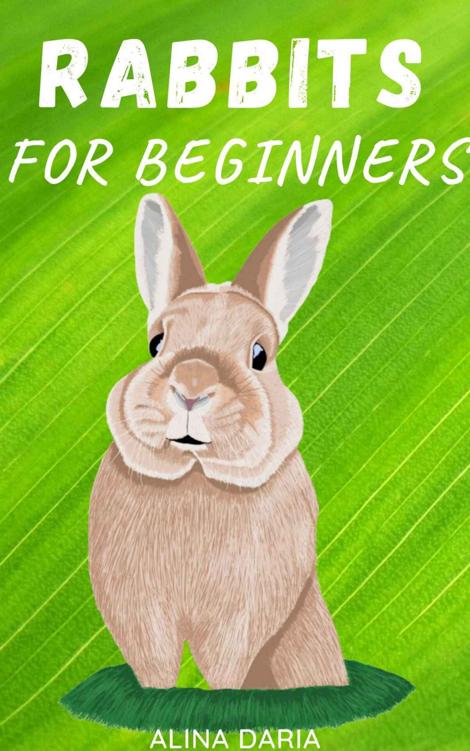 Rabbits for Beginners : Species Appropriate Care and Husbandry of the Little Fluffbutts