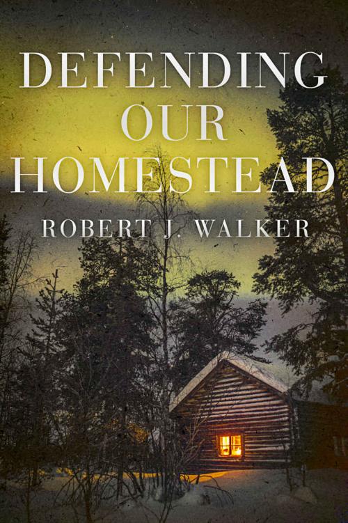 Defending our Homestead: EMP Survival in a Powerless World
