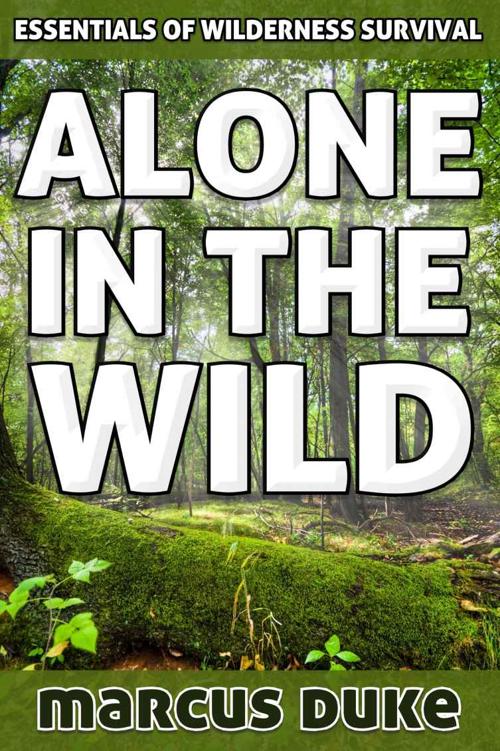 Alone in the Wild: The Essentials of Wilderness Survival