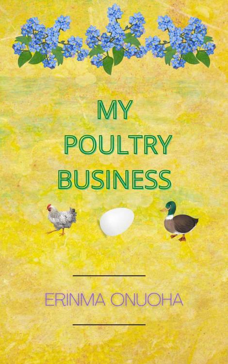 MY POULTRY BUSINESS: The Wealth in Poultry Farming.