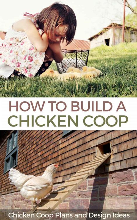 How to Build a Chicken Coop: Chicken Coop Plans and Design Ideas