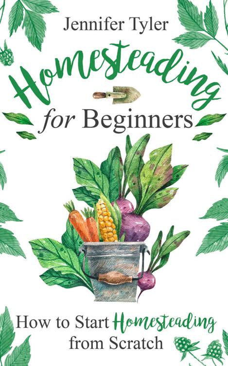 Homesteading for Beginners: How to Start Homesteading From Scratch