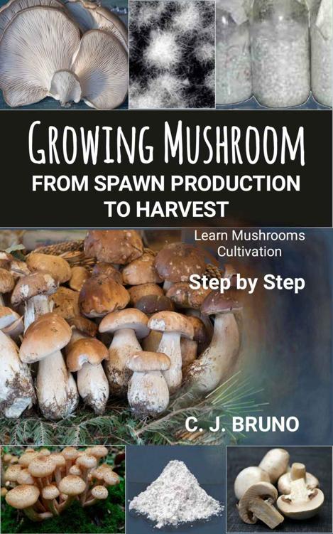 Growing Mushroom From Spawn Production to Harvest: Learn Mushrooms Cultivation Step by Step