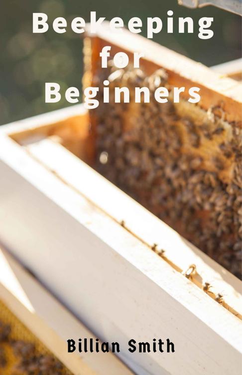 Beekeeping for Beginners
