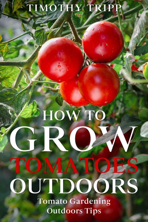How to Grow Tomatoes Outdoors: Tomato Gardening Outdoors Tips