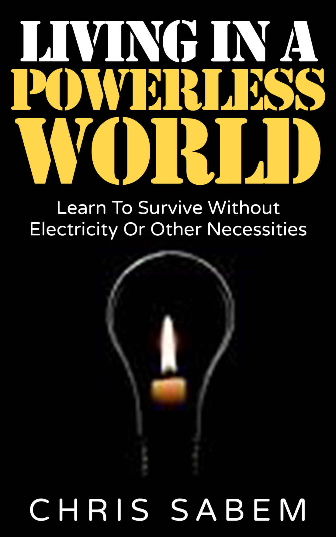 Survival Skills: (Free Gift eBook Inside!) Living In A Powerless World (Staying Alive When The Lights Go Out)