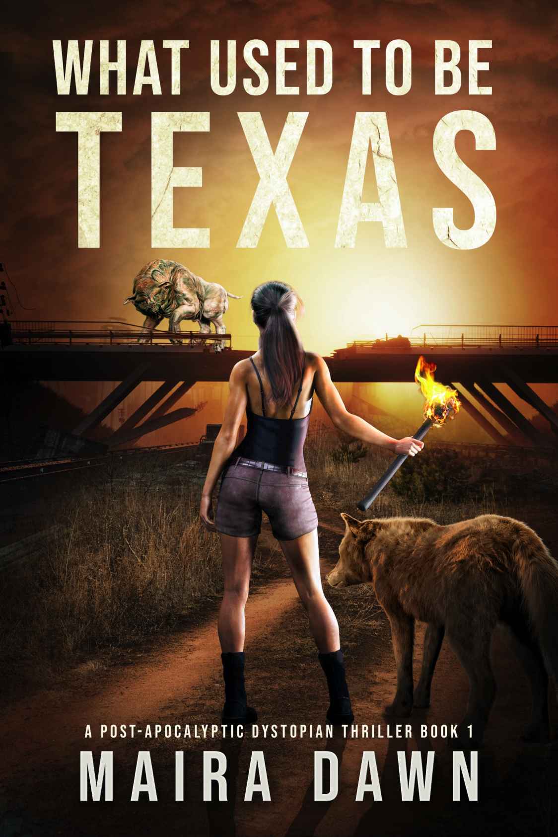 What Used to be Texas: A Post-apocalyptic Dystopian Thriller Series Book 1 (What Used To Be Series)