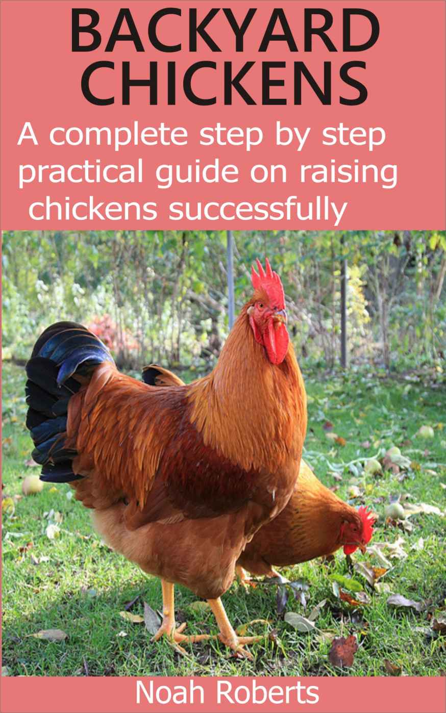 BACKYARD CHICKENS: A complete step by step practical guide on raising chickens successfully
