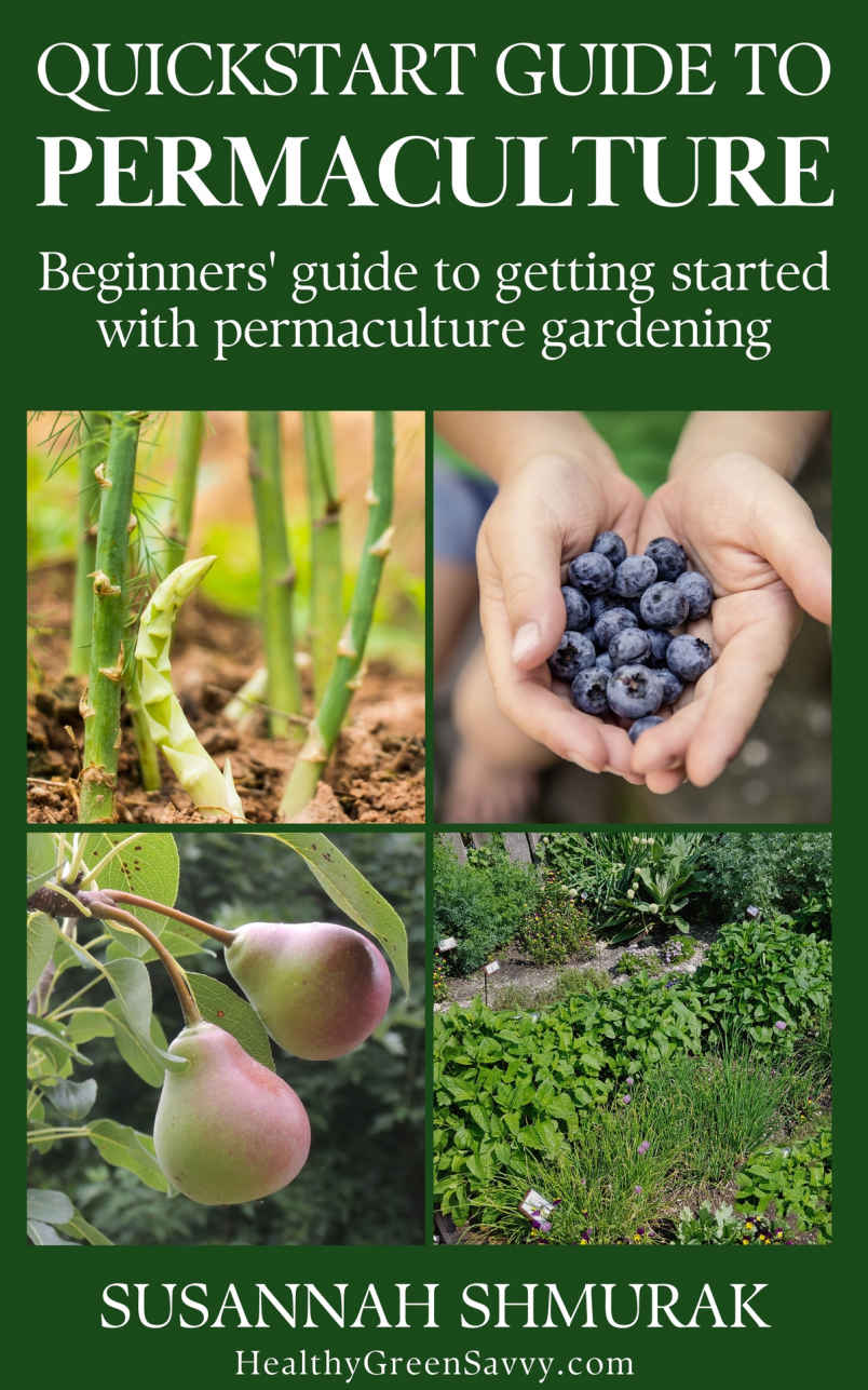 Quickstart Guide to Permaculture: Beginners’ Guide to Getting Started with Permaculture Gardening (Savvy Guides)