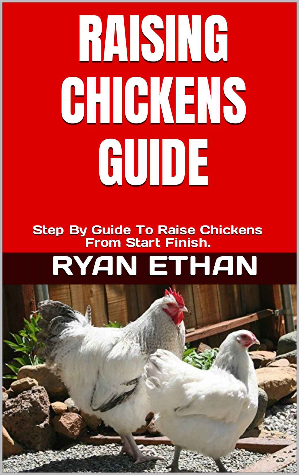 RAISING CHICKENS GUIDE: Step By Guide To Raise Chickens From Start Finish.