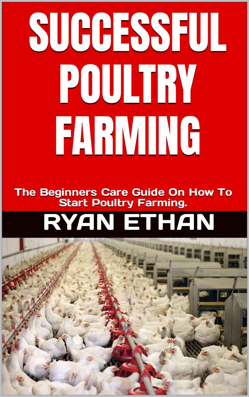SUCCESSFUL POULTRY FARMING: The Beginners Care Guide On How To Start Poultry Farming.