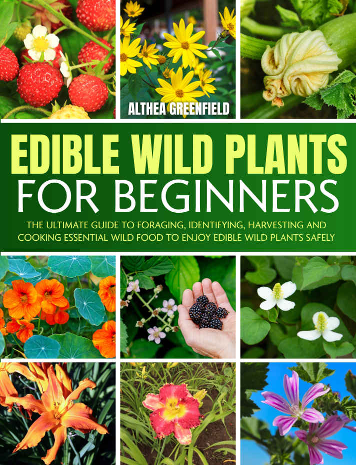Edible Wild Plants For Beginners:: The Ultimate Guide to Foraging, Identifying, Harvesting and Cooking Essential Wild Food to Enjoy Edible Wild Plants Safely