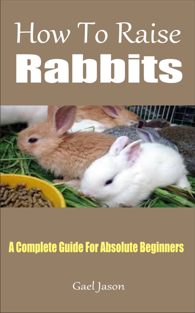 How To Raise Rabbits: A Complete Guide For Absolute Beginners