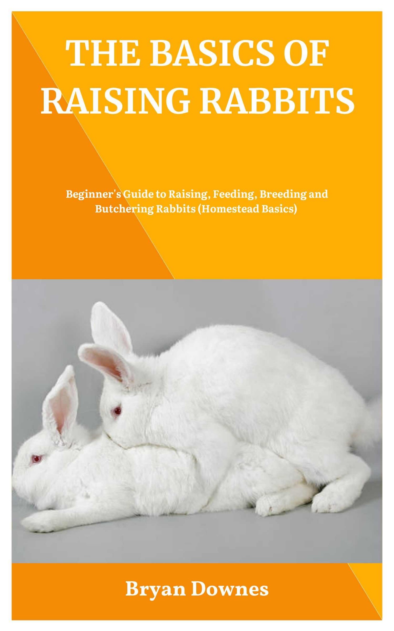 THE BASICS OF RAISING RABBITS: Beginner's Guide to Raising, Feeding, Breeding and Butchering Rabbits (Homestead Basics)