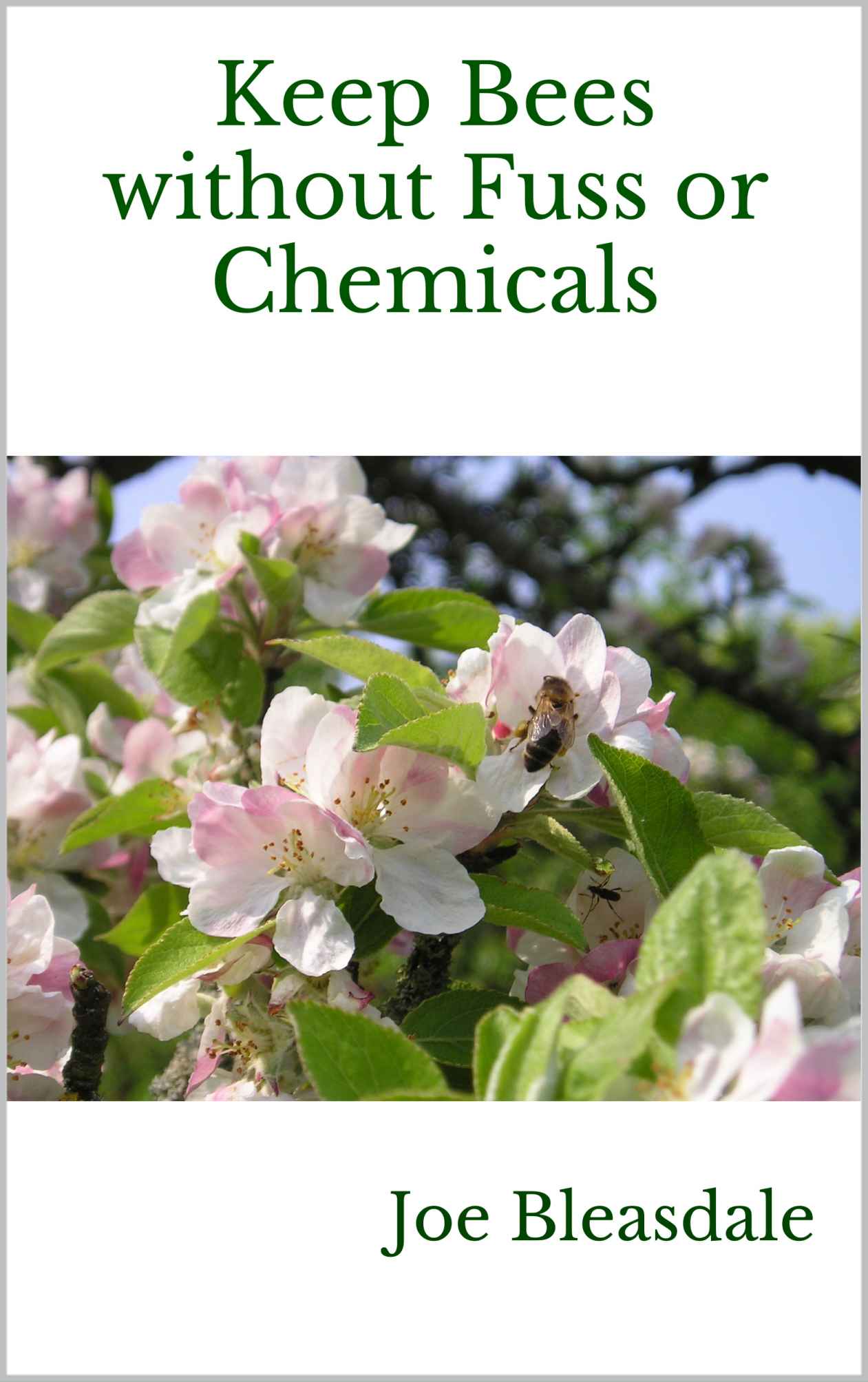 Keep Bees without Fuss or Chemicals