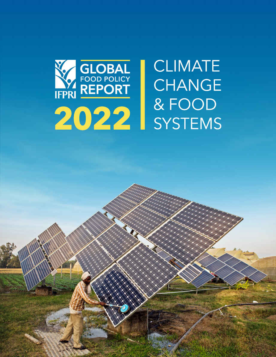 2022 Global Food Policy Report: Climate Change and Food Systems