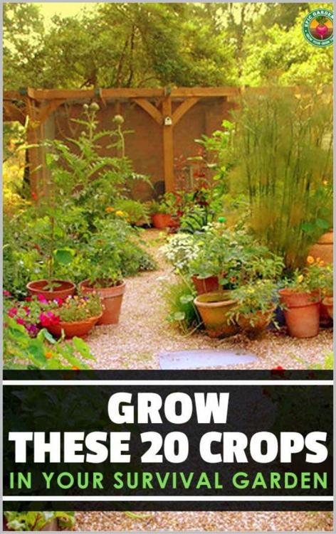 20 Best Crops For A Survival Garden: Gardening for the Zombie Apocalypse (Gardening Homestead Book 6)