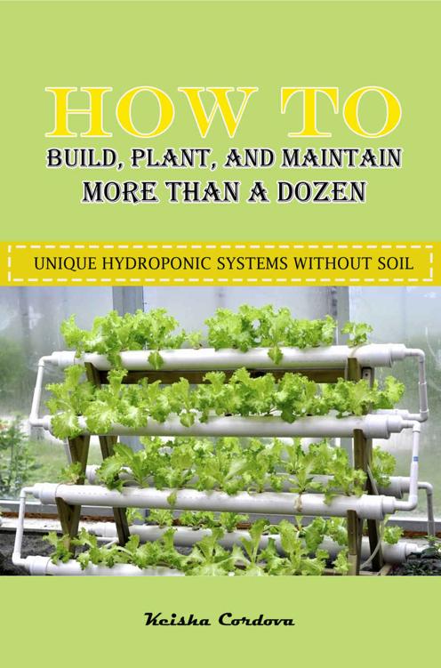 How To Build, Plant, And Maintain More Than A Dozen Unique Hydroponic Systems Without Soil