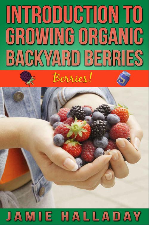 Berries: An Introduction To Growing Organic Backyard Berries (botanical, home garden, horticulture, garden, landscape, plants, gardening)