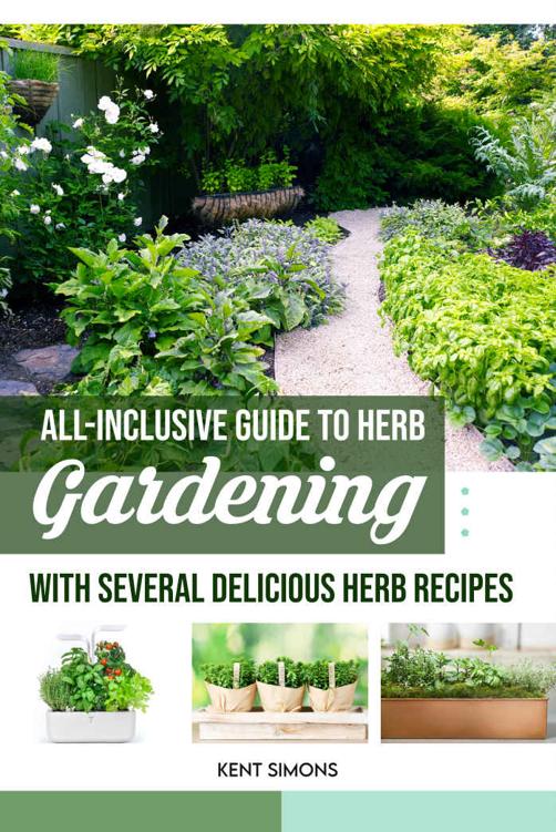 All-inclusive Guide To Herb Gardening, With Several Delicious Herb Recipes