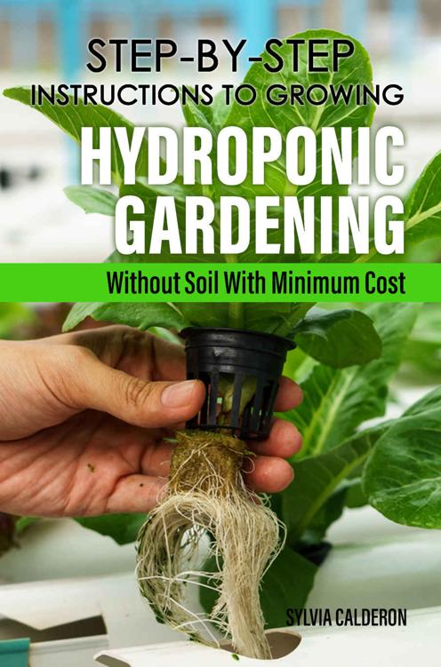 Step-by-step Instructions To Growing Hydroponic Gardening Without Soil With Minimum Cost