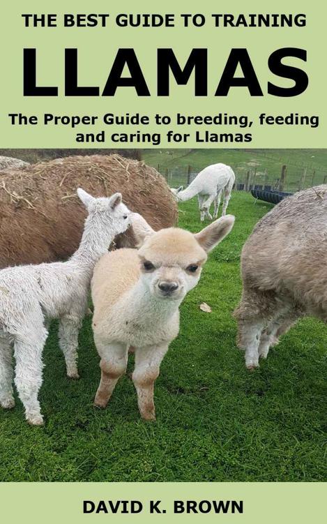 THE BEST GUIDE TO TRAINING LLAMAS: The Proper Guide to breeding, feeding and caring for Llamas