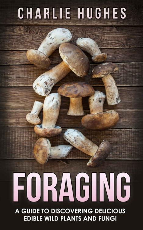 Foraging: A Guide to Discovering Delicious Edible Wild Plants and Fungi (Foraging, Wild Edible Plants, Edible Fungi, Herbs, Book 1)
