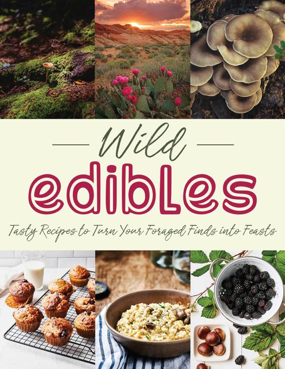 The #2022 Cookbook Wild Edibles: Tasty Recipes To Turn Your Foraged Finds Into Feasts