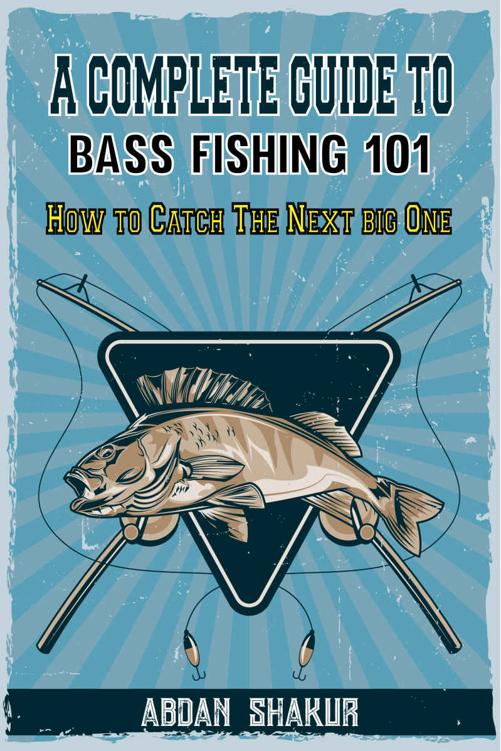 A Complete Guide To Bass Fishing 101: How To Catch The Next Big One