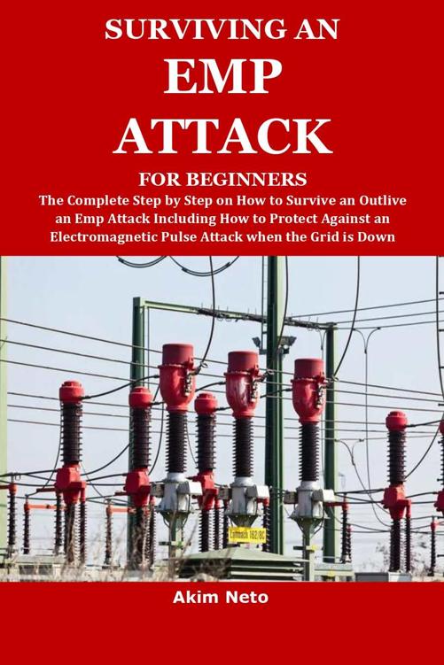SURVIVING AN EMP ATTACK FOR BEGINNERS: The Complete Step by Step on How to Survive an Outlive an Emp Attack Including How to Protect Against an Electromagnetic Pulse Attack when the Grid is Down