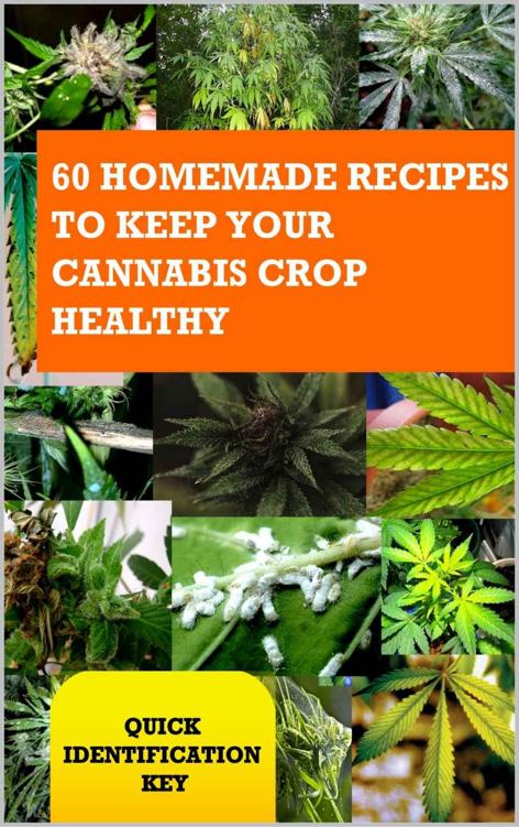 CANNABIS : 60 HOMEMADE RECIPES TO KEEP YOUR CANNABIS CROP HEALTHY: Quick Identification Key