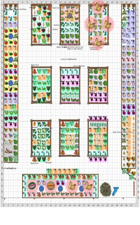 Planning a Square-Foot Garden: Grow More in Less Space
