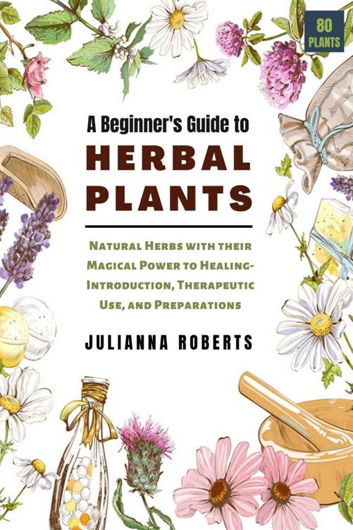 A Beginner's Guide to Herbal Plants: Natural Herbs with their Magical Power to Healing- Introduction, Therapeutic Use, and Preparations